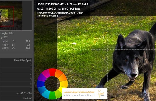نرم افزار راوترپی (RawTherapee)
